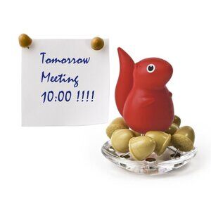 Red Squirrel with Push Pin Acorns for Office NEW